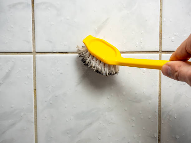 Best Emergency Mold Remediation in Lincoln, IL