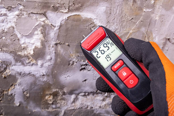 Trusted Lincoln, IL Mold Remediation Experts