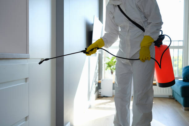 Best Post-Flood Mold Remediation in Lincoln, IL