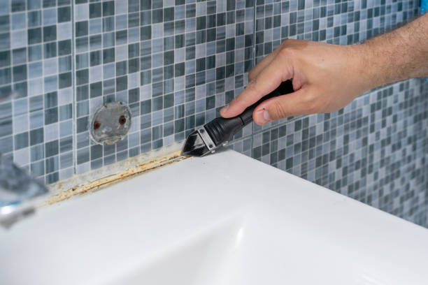 Best Bathroom Mold Remediation in Lincoln, IL